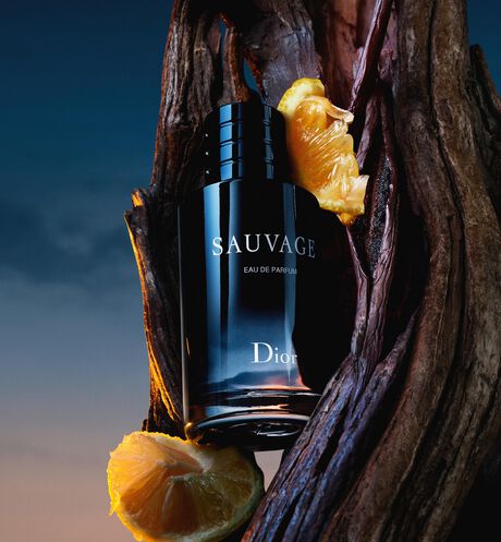sauvage-eau-de-parfum_image_3